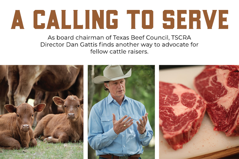 Dan Gattis - Texas Beef Industry Legacy
